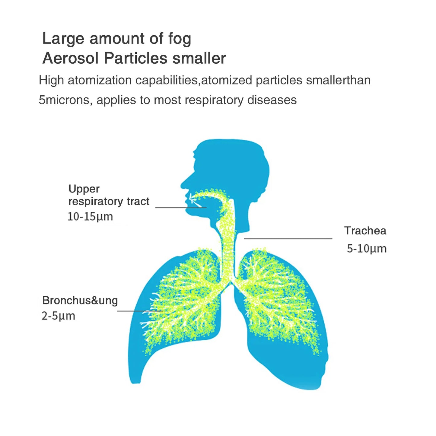 Health Care Set For Breathing Examinations